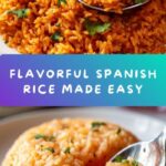 Spanish Rice Recipe Made Easy Recipe
