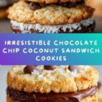 Chocolate Chip Coconut Sandwich Cookies Recipe