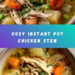 Hearty Instant Pot Chicken Stew Recipe