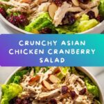 Asian Chicken Cranberry Salad Recipe