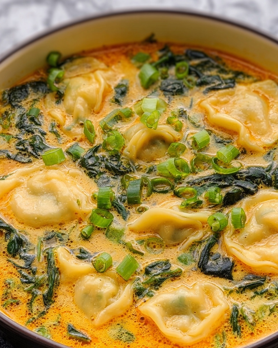 Thai Red Curry Dumpling Soup Recipe - Recipe Image