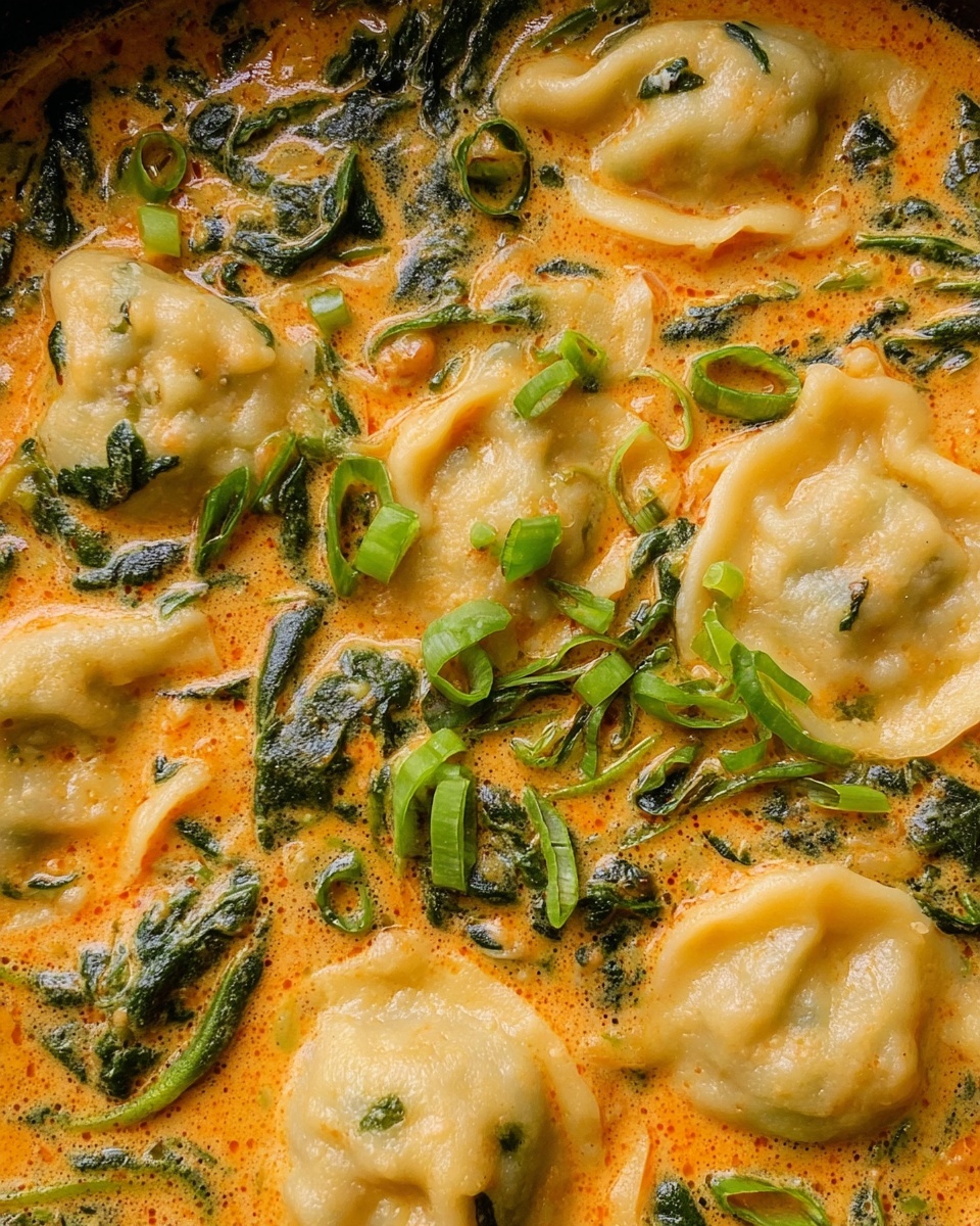Thai Red Curry Dumpling Soup Recipe - Recipe Image