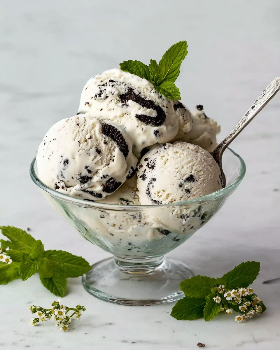 Homemade Mint Chocolate Chip Ice Cream Recipe - Recipe Image