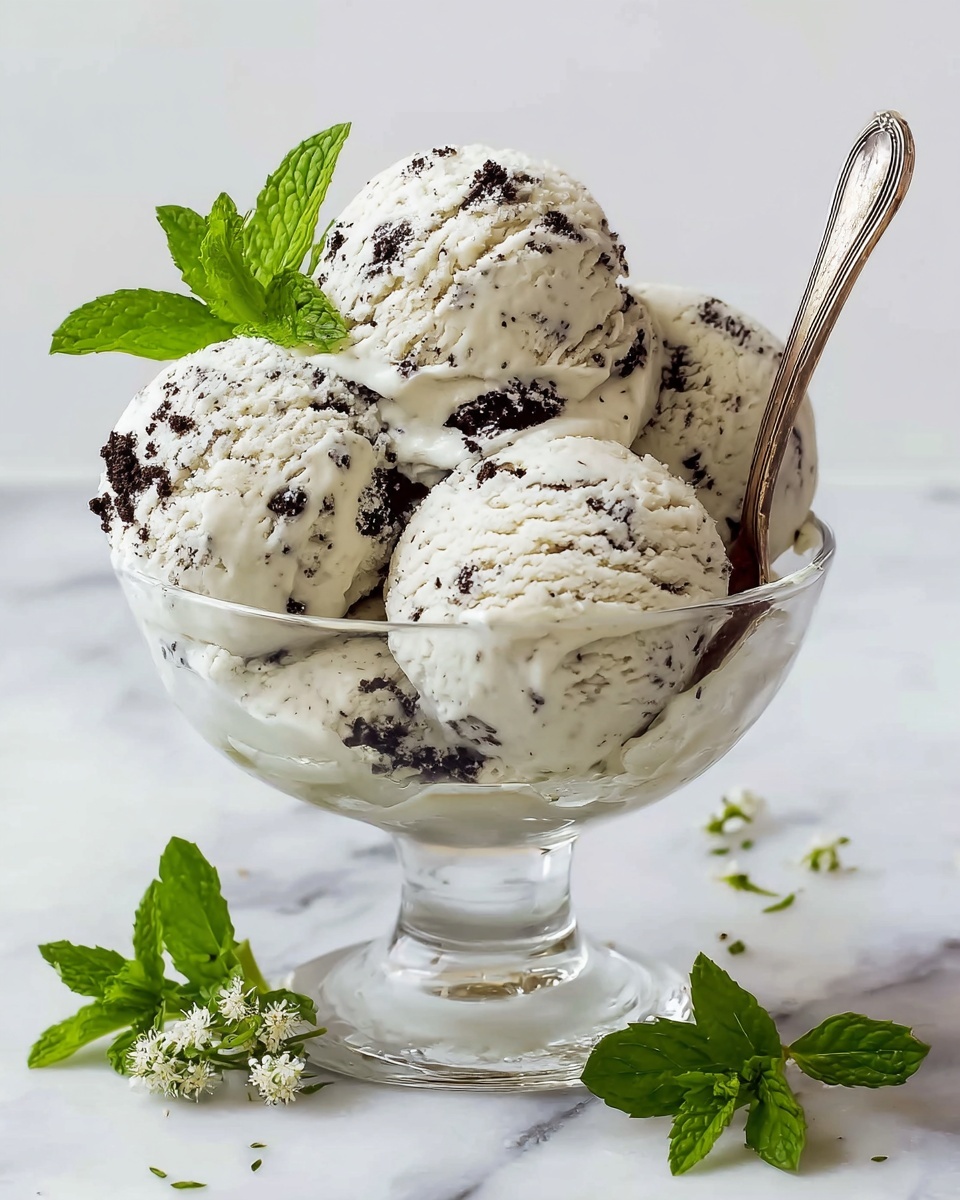 Homemade Mint Chocolate Chip Ice Cream Recipe - Recipe Image